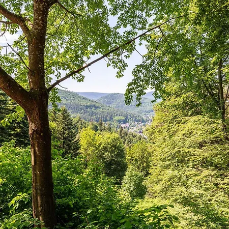 Schwalbenhof Dreßler Und Duss Für 2 Personen Bad Herrenalb