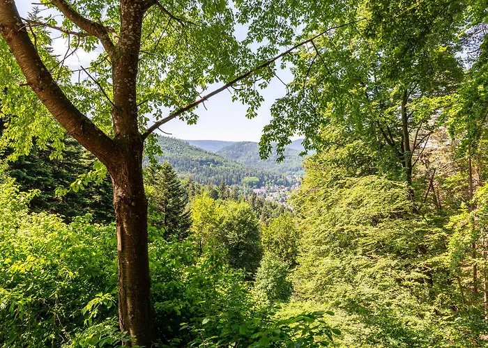 Schwalbenhof Dressler Und Duss Fuer 2 Personen